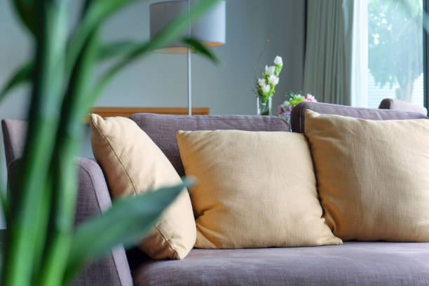 istock sofa in living room 1061340052