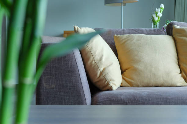 istock sofa in living room 1061340054