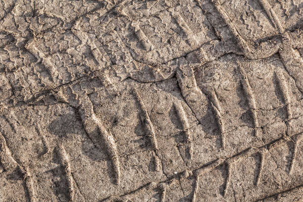 istock Tire Track Print On Sandy Muddy Dirt Road 1061341080