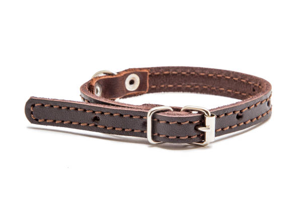 istock Brown collar for cat or dog on white background 1061343870