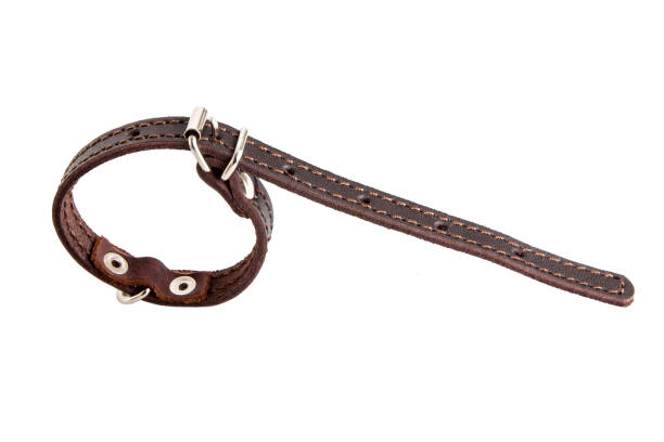 istock Brown collar for cat or dog on white background 1061344124