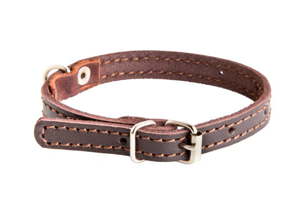 istock Brown collar for cat or dog on white background 1061344126