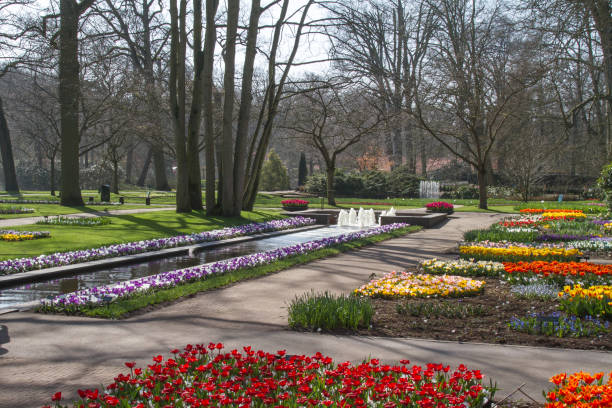 istock park with blooming tulips 1061356130
