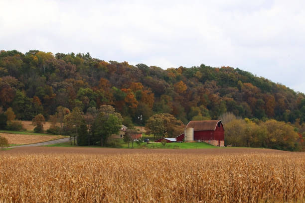 istock Beautiful autumn Wisconsin nature background. 1061357624