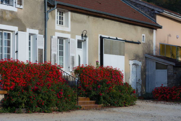 istock Red Geraniums on house stairs 1061357866