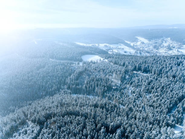 istock fabulous winter landscape with frozen forest from the air 1061358024
