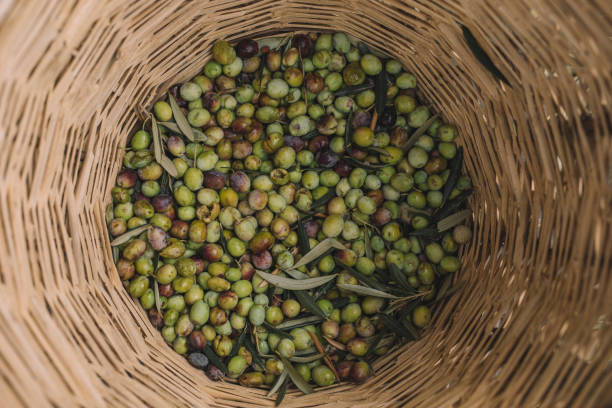 istock I can not speak. only olives 1061360810