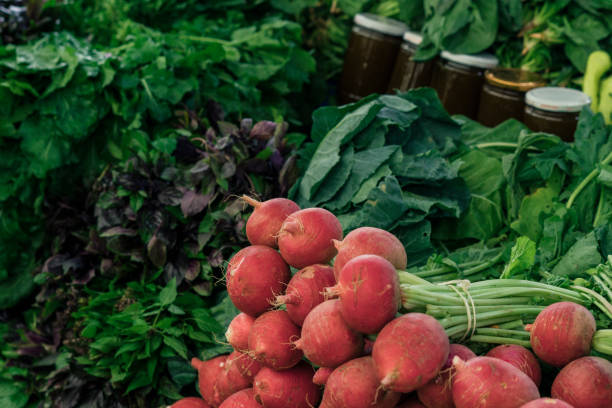 istock radishes are socializing 1061363144