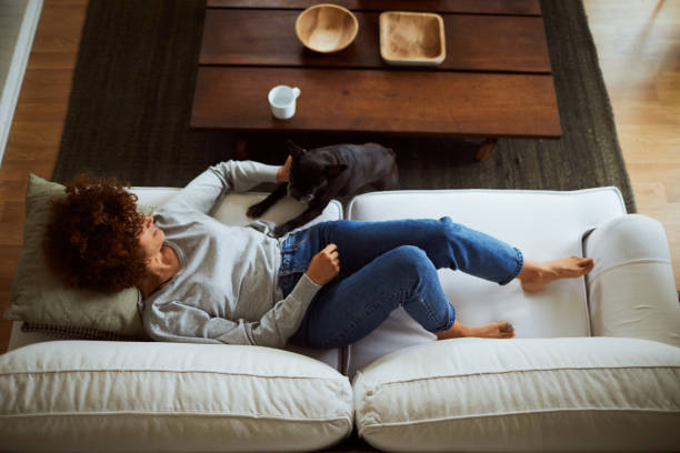 Lifestyle woman with a french bulldog relaxing in living room. Lifestyles in Barcelona, one woman at home.
spanish model. spanish bulldog stock pictures, royalty-free photos & images