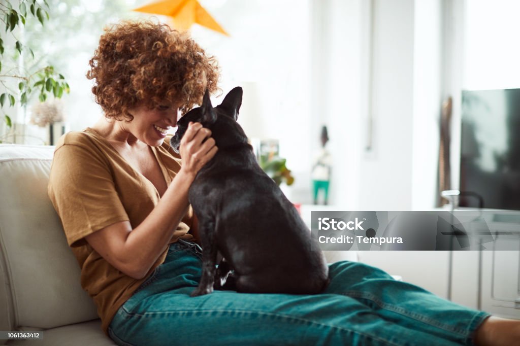 Lifestyle-Frau mit eine französische Bulldogge im Wohnzimmer entspannen. - Lizenzfrei Hund Stock-Foto