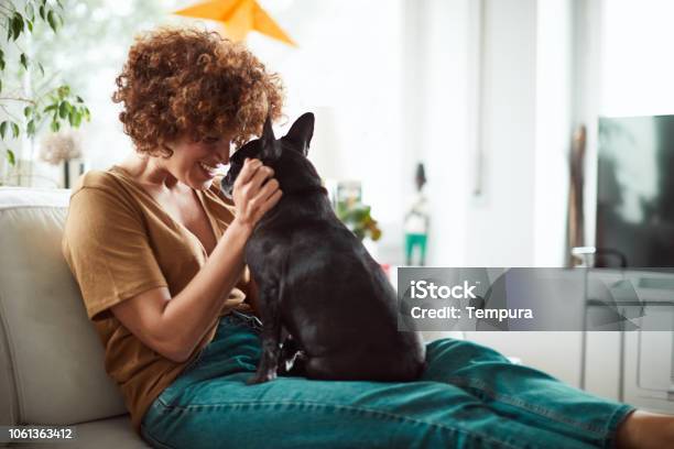 Lifestylefrau Mit Eine Französische Bulldogge Im Wohnzimmer Entspannen Stockfoto und mehr Bilder von Hund