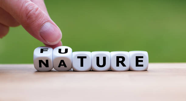 istock Hand is turning a dice and changes the word Nature to Future 1061363876