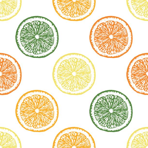 illustrations, cliparts, dessins animés et icônes de illustration vectorielle agrumes. modèle sans couture avec des tranches d’orange, de citron, de lime et de mandarine. - lime fruit citrus fruit portion