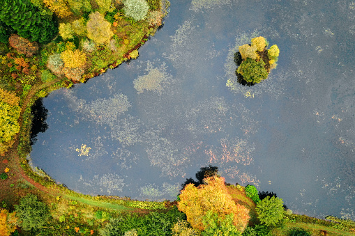 A curving footpath around a lake in autumn, with autumn trees on a small island on the lake.  Photographed from directly above.