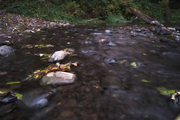 istock Long exposure photographs of rolling river with fall foliage 1061387906