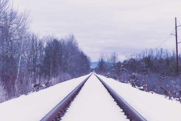 Photo of Railroad Tracks during Winter