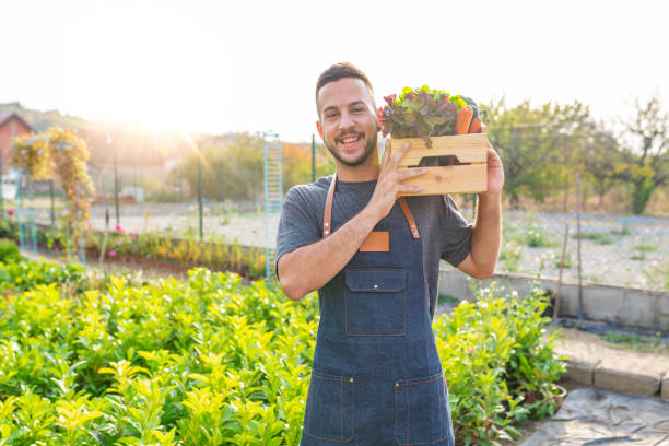 istock Farmer holding in his hands wooden box with local vegitables. 1061400324