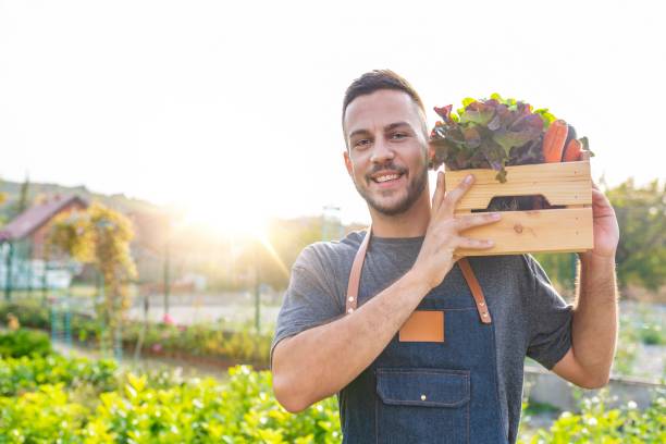 istock Farmer holding in his hands wooden box with local vegetables. 1061400334