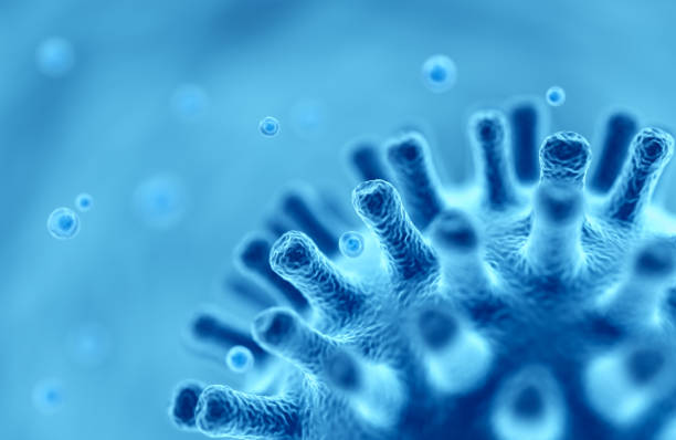 bakterienzelle oder virus, 3d generierte ansicht vom mikroskop. - influenza a virus stock-fotos und bilder