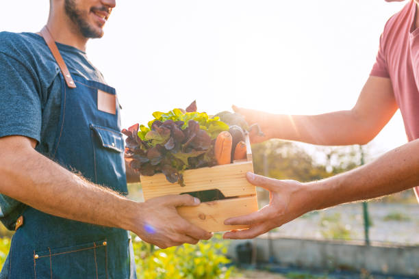 agriculteur donnant boîte de légumes au client par une journée ensoleillée - grocer photos et images de collection