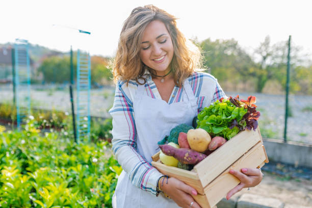 agricoltore donna che tiene scatola di legno con verdure in campo - women smiling mature adult portrait foto e immagini stock