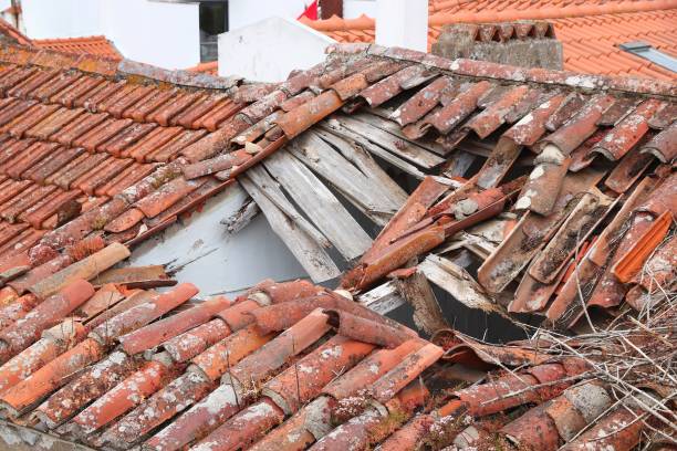 Collapsed roof Collapsed roof in a house in Alcobaca, Portugal. alcobaca photos stock pictures, royalty-free photos & images