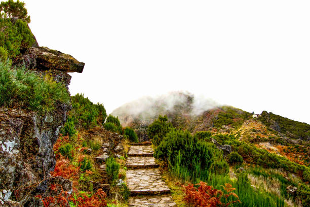 Hiking way