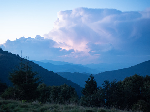 Summer evening in mountains. Carpathians mountains, west Ukraine. Landscape of green trees, hillsides covered with dense forest. Cloudscape of big cumulus. Sunset in Ukraine. Blurred background
