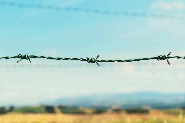istock Barbed wire fence of a farm, fields and blue sky on background 1061409714