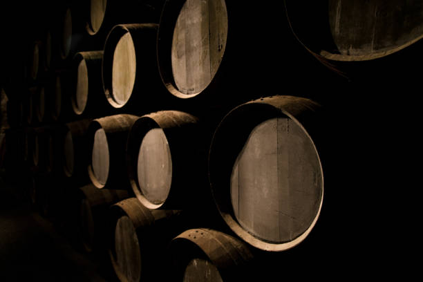 old cellar with wine barrels - vinho do porto imagens e fotografias de stock
