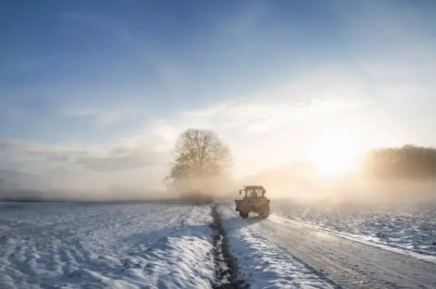 Photo of Tractor silhouette through fog at sunrise