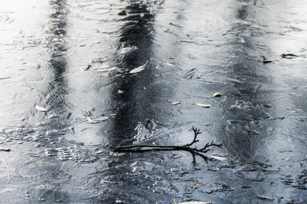 istock the reflection of dark tree trunks on the ice. moody tones 1061429216