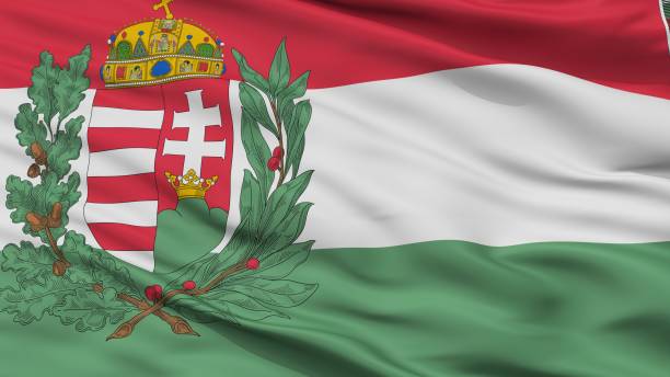 Hungary 1939 1945 War Flag Closeup