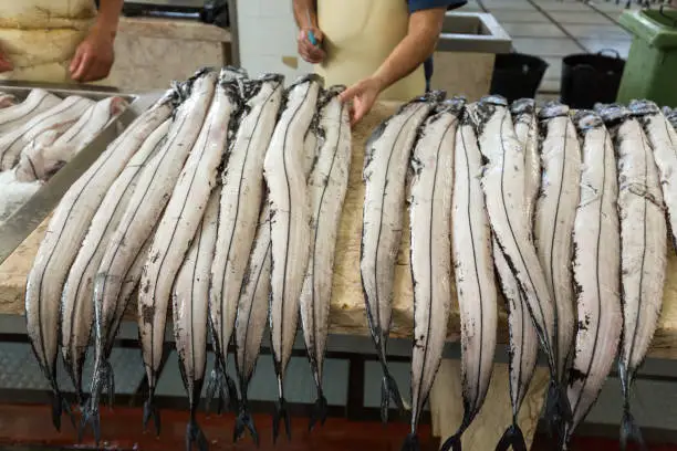 Fish on market, black scabbard (espada) in fish market