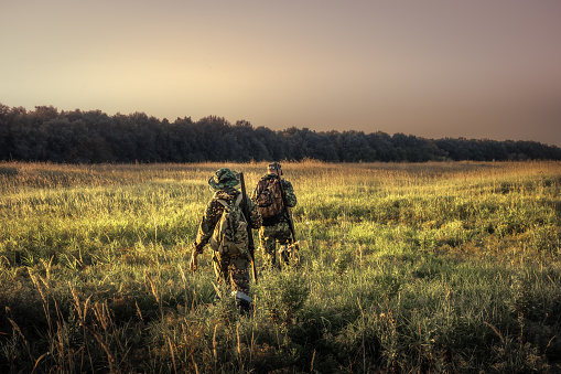 Cazadores caza equipo salir a través del campo rural hacia el bosque al atardecer durante la temporada de caza en campo photo
