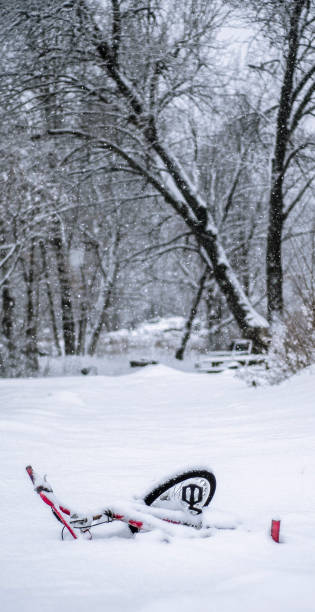 istock Small bike covered in snow near some trees 1061436324
