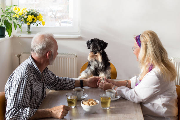 istock Senior couple with dog 1061437298