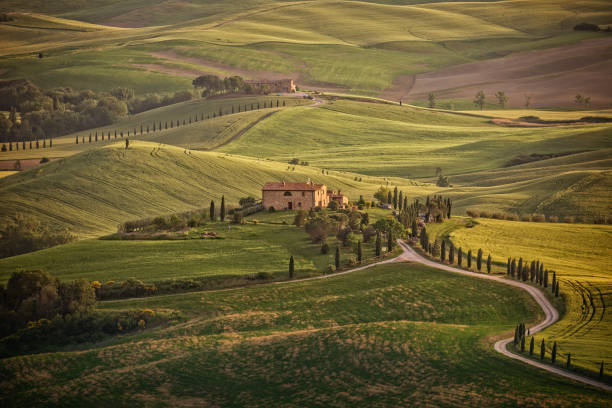 Sunny afternoon in Tuscany