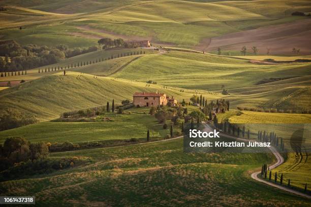 Sunny Afternoon In Tuscany Stock Photo - Download Image Now - Fine Art Painting, Hill, Italy