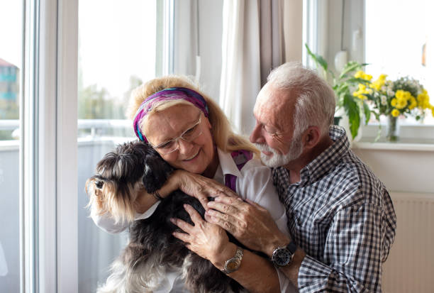 istock Senior couple with dog 1061437356