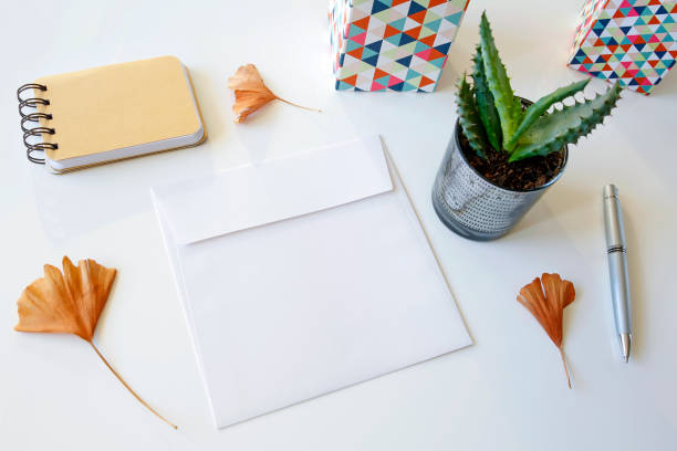 istock blank envelope, notebook, pen, cactus and ginkgo leaves 1061440702