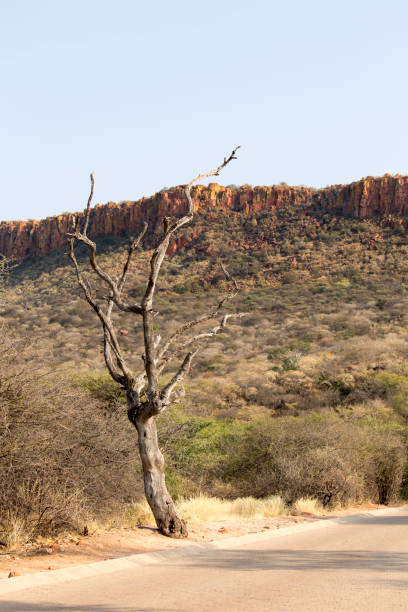 istock waterberg plateau view in Namibia 1061440812
