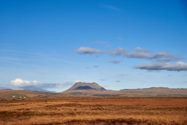 istock autumn landscape in Iceland 1061444516