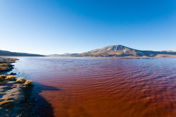 istock Laguna Colorada view, Bolivia 1061446908