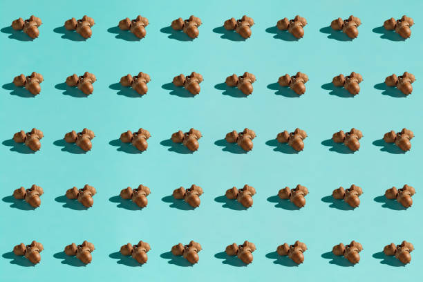 istock Background made from acorn on the blue background 1061452042