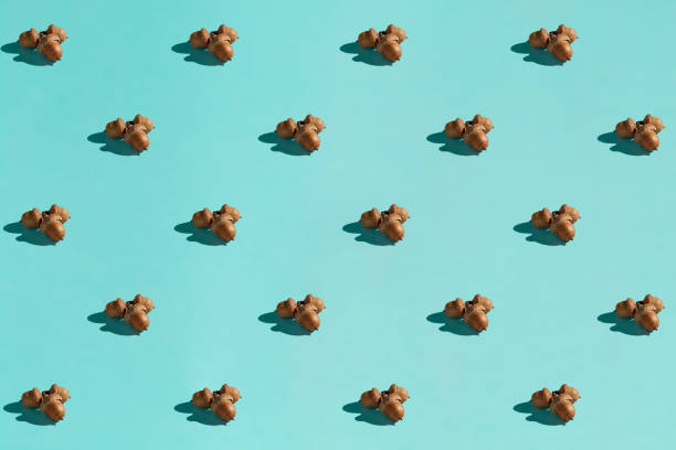 istock Background made from acorn on the blue background 1061452150