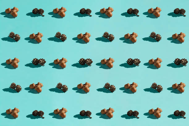 istock Background made from acorn on the blue background 1061452356