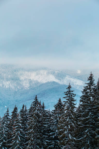 istock Snowy mountains and forest, beautiful mountain view 1061452986