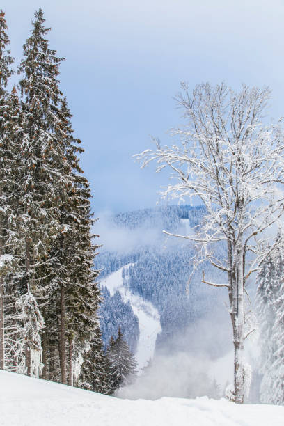 istock Snowy mountains and forest, beautiful mountain view 1061453138