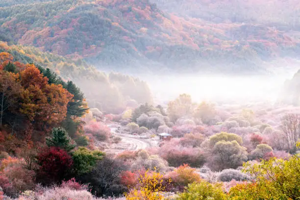 Autumn in South Korea with four seasons